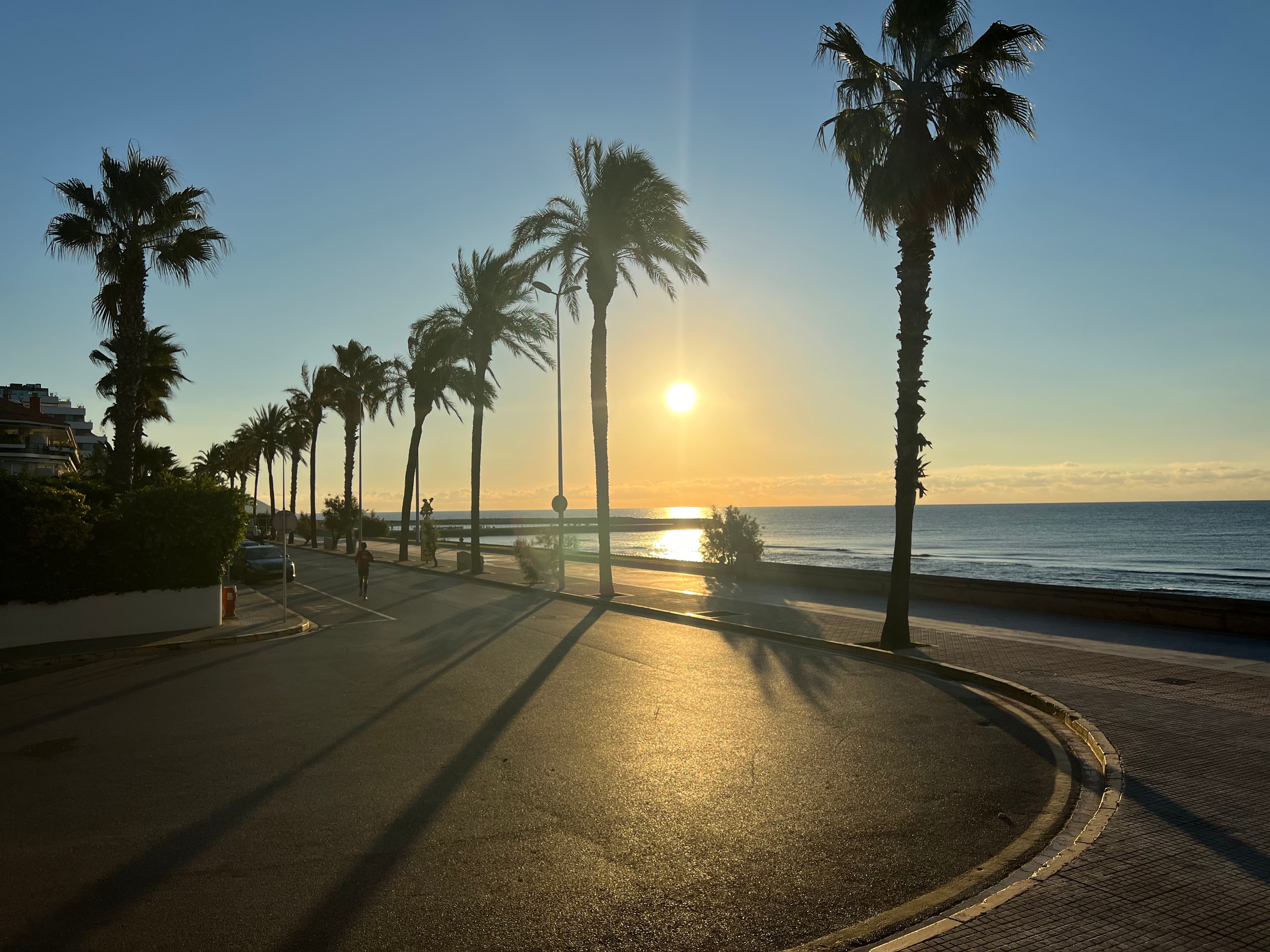 El paseo marítimo de Sitges bordeado de palmeras junto a la playa y el mar