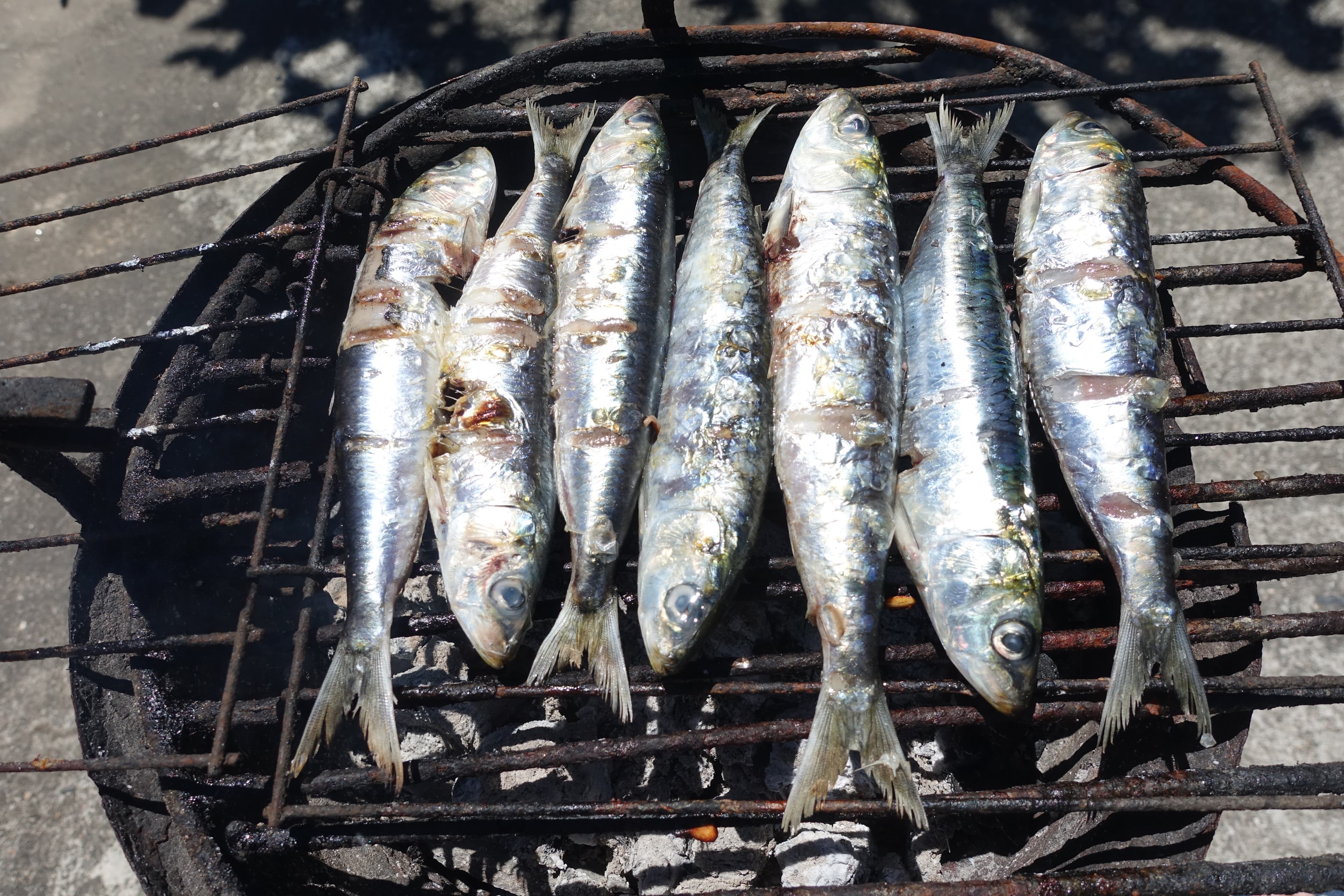 Sardinhas a la brasa en una barbacoa al aire libre en Portugal, tradición típica de las Festas de São Pedro