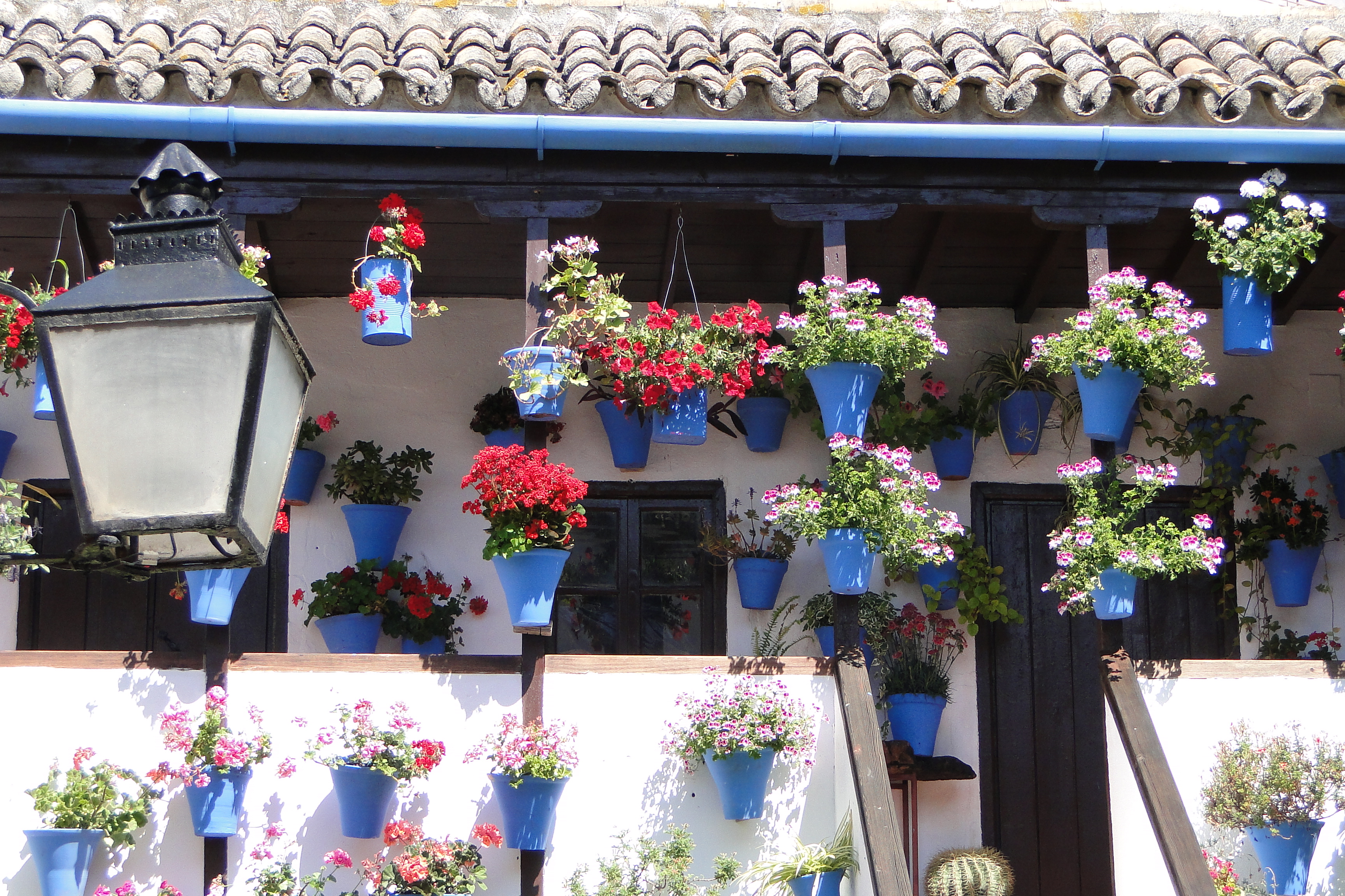 Patio cordobés del barrio de San Basilio con paredes encaladas cubiertas de macetas de flores durante el Festival de los Patios de Córdoba